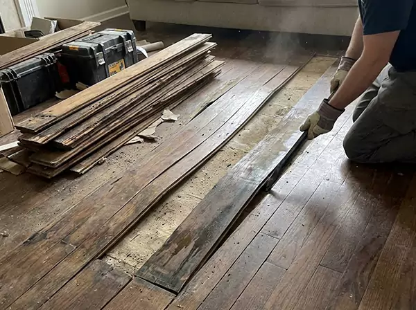 Water Damage Drying in Suwanee