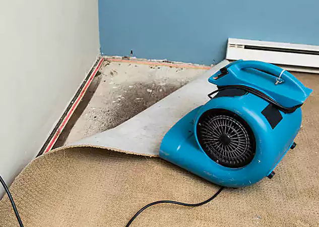 Your Water Damage Experts in Suwanee, GA