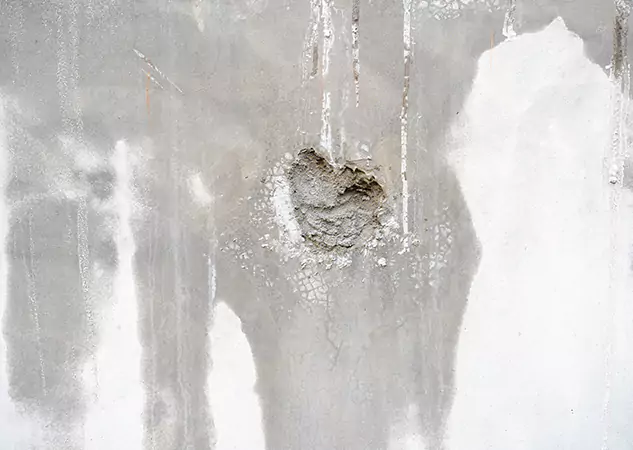 Your Mold Mitigation Solutions Partner in Suwanee, GA