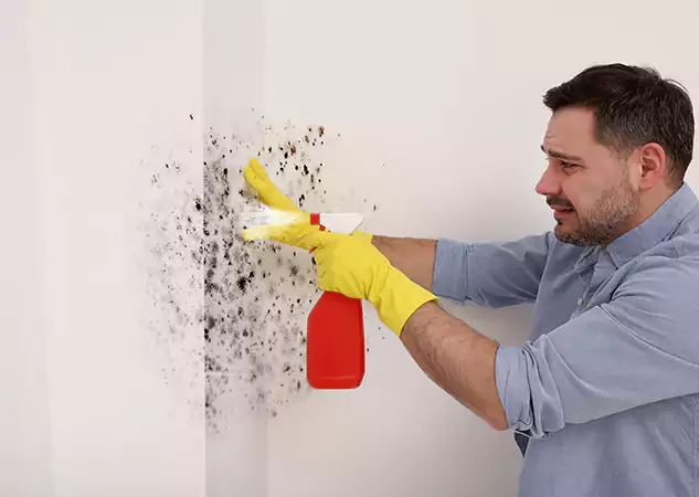 Your Water Mold Fire Restoration Partner in Suwanee, GA