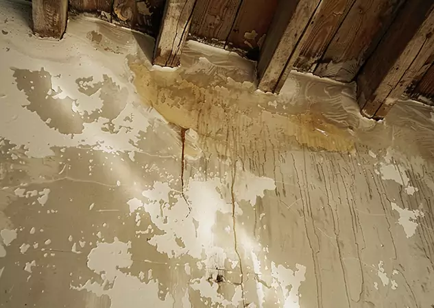 Your Trusted Restoration Company in Suwanee, GA
