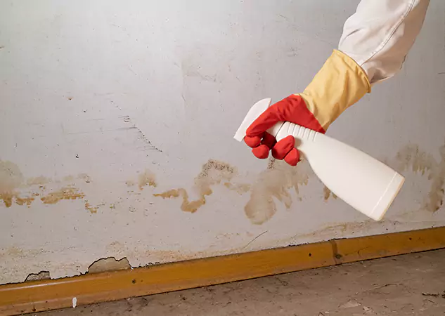 Your Water Restoration and Mold Remediation Specialists in Suwanee, GA