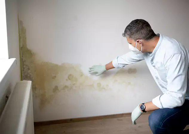 Reach Our Remediation Team Before Damage Grows in Suwanee, GA!