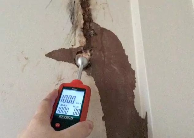 Your Water Damage Assessment Partner in Suwanee, GA