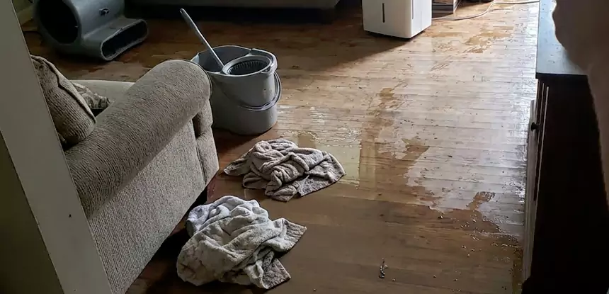 Professional Basement Water Remediation Services in Suwanee, GA