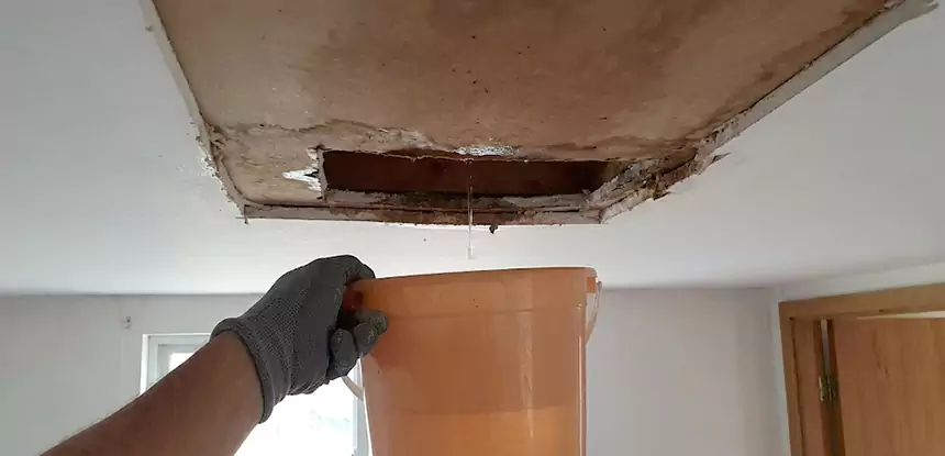 Ceiling Mold Repair Suwanee