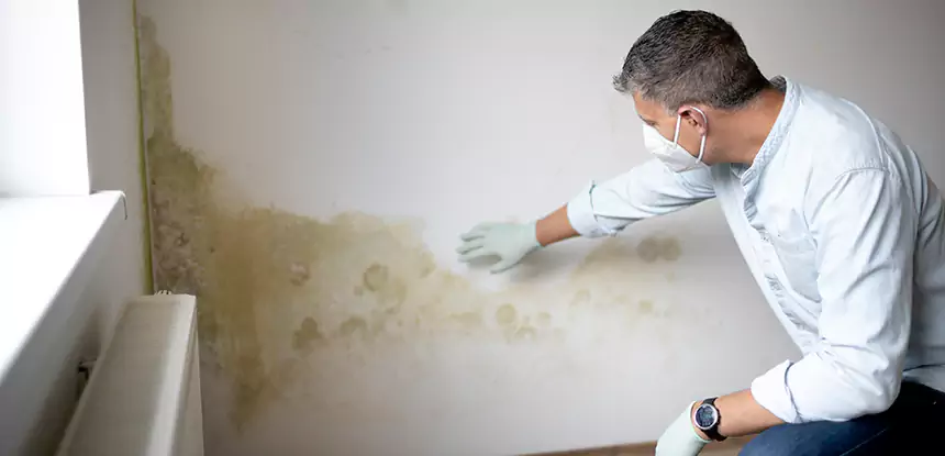 Mold and Water Damage Repair in Suwanee