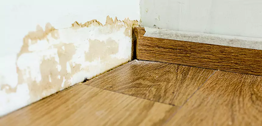 Professional Fix Water Damaged Wood Services in Suwanee, GA