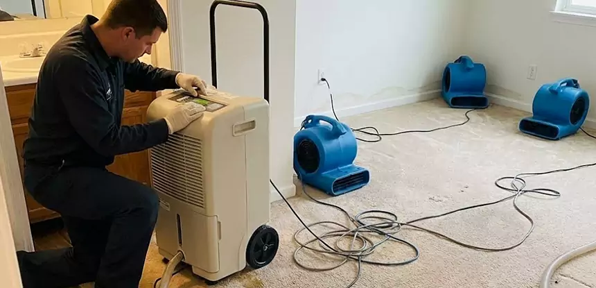 Professional Wet Carpet Removal Services in Suwanee, GA
