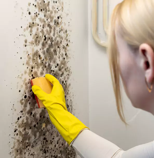 Why Suwanee Restoration Pro Leads Mold Remediation in Suwanee?