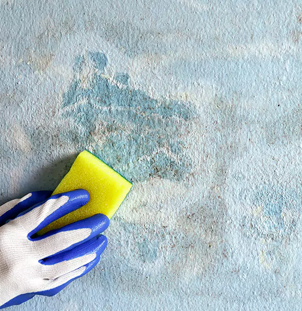 Why Suwanee Restoration Pro Is the Right Choice in Suwanee, GA?