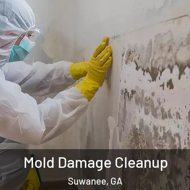 Mold Damage Cleanup Suwanee, GA