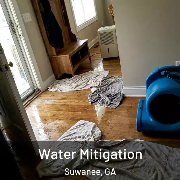  Water Mitigation Suwanee, GA